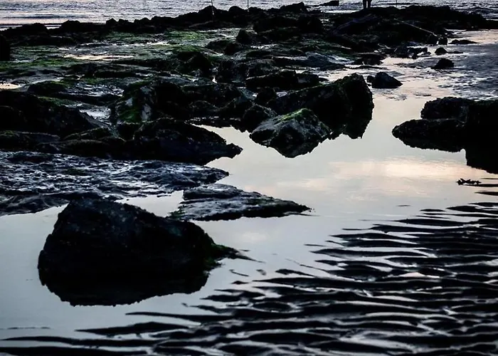 别墅 Ensorpark 奥斯滕德