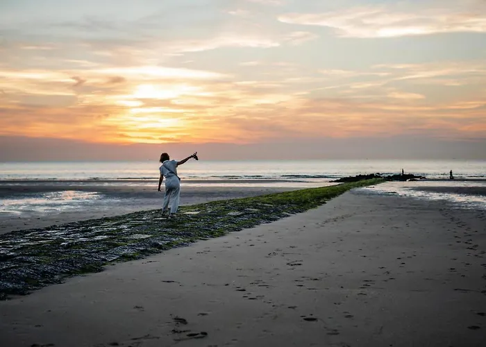 Ensorpark Villa Ostend