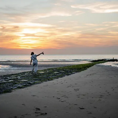 Ensorpark Villa Ostend